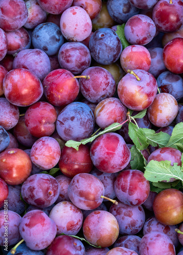 Ripe bright purple plum background summer outdoor