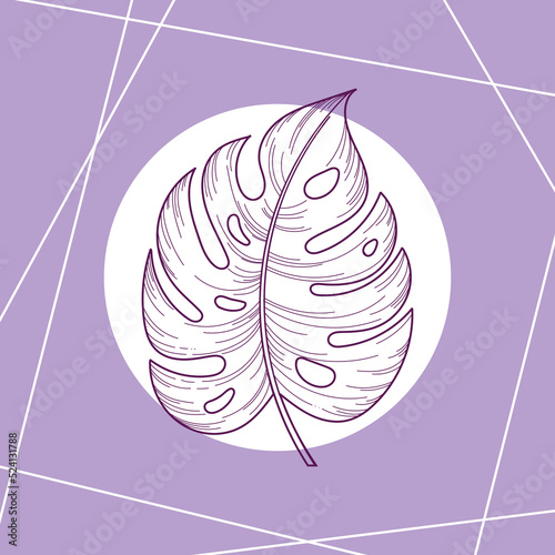 Hand drawn monstera leaf isolated on lilac background, vector illustration for cards, wedding invitation