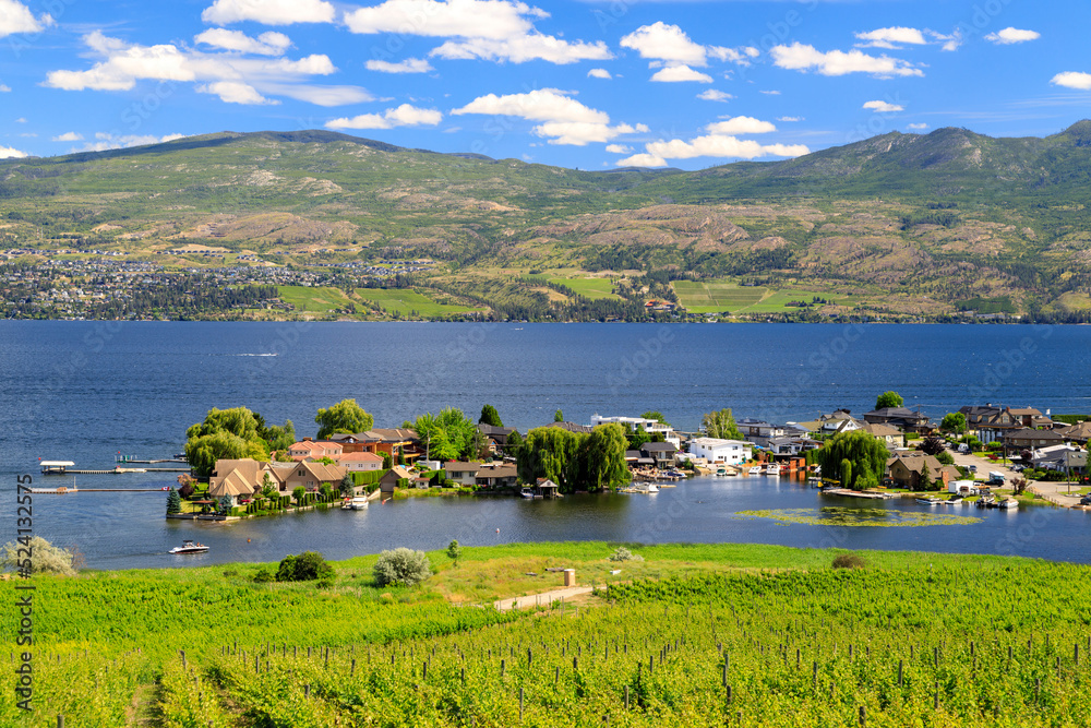 Fototapeta premium Westbank West Kelowna Okanagan Lake Vineyard