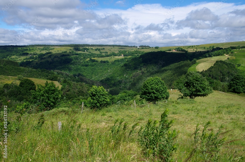 Rural landscape in Ardeche in France, Europe