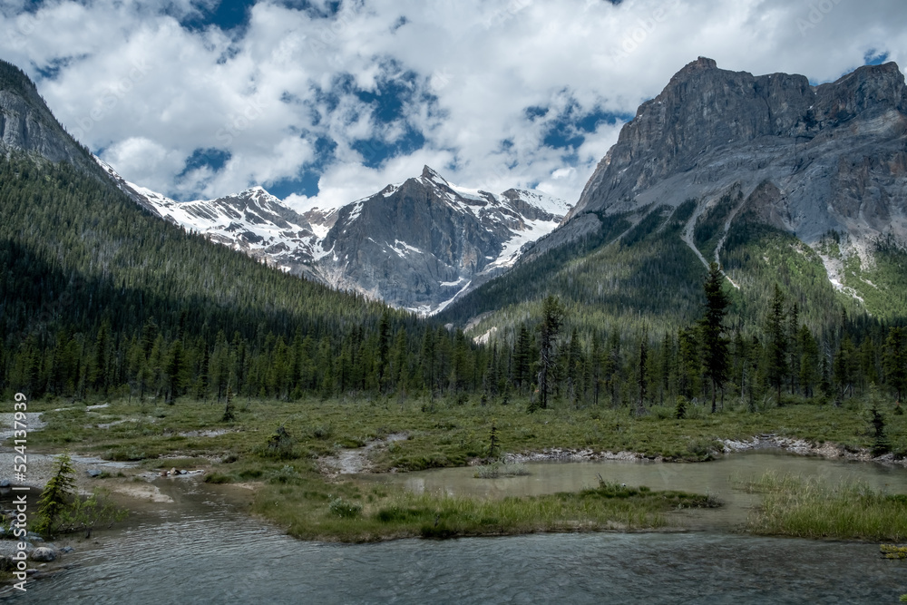 Landscape of mountains and forest at Emerald lake