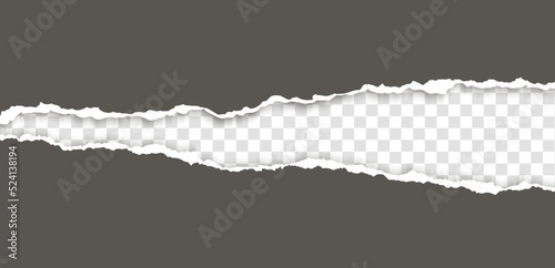 Realistic, torn, ripped strip of grey paper with a light shadow on a transparent background. Torn cardboard.