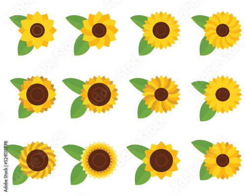 sunflower collection