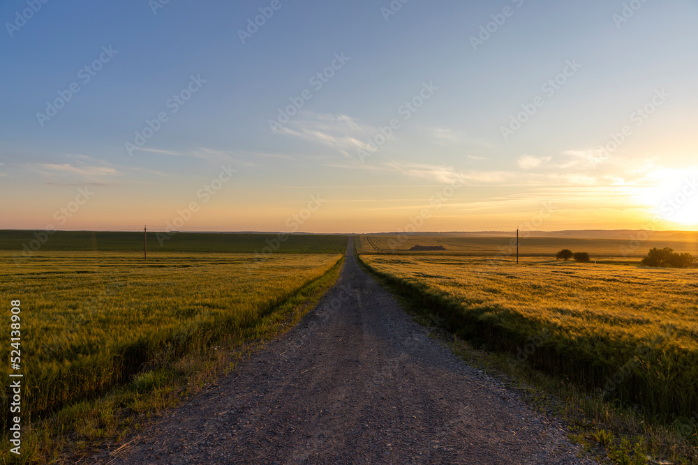 paved road for car traffic