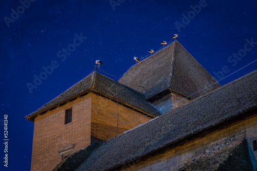 stork on top of the castle