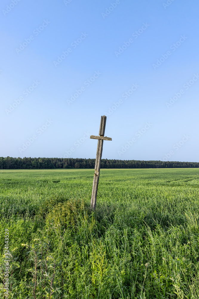 A field with a grain harvest and a wooden religious cross A field with a grain harvest and a wooden religious cross
