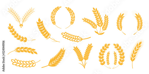 Ears of wheat, ear of rye, spikelet set vector. Cereals plant icons in flat style for cafe, product package.