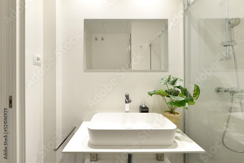 Plain white tiled bathroom with roll-in glass shower stall  designer porcelain sink  faux plant and frameless wall mirror  chrome fixtures