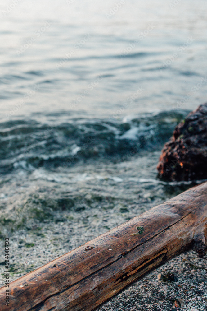 driftwood, log on beach in Seattle driftwood, log on beach in Seattle