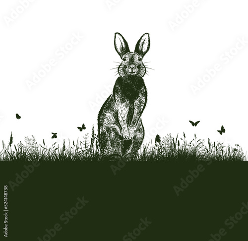 Hare in the grass handmade. Happy easter. Vector illustrations.