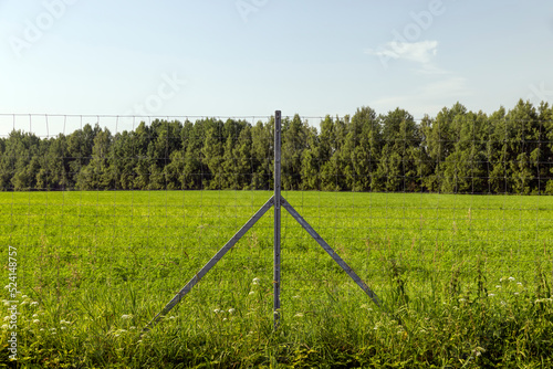 Fototapeta Metal fences for animal protection