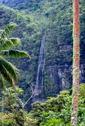 Cascade Te vaiuri à Afareaitu photo