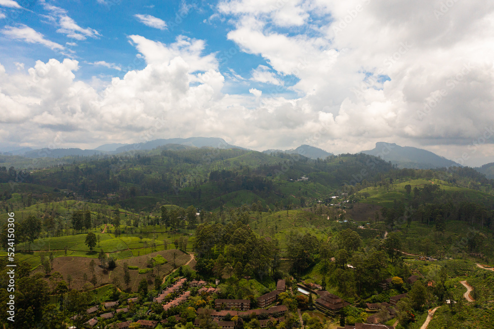Obraz premium Aerial drone of Farmers' houses among tea estates in the mountains. Maskeliya. Tea plantations in Sri Lanka.