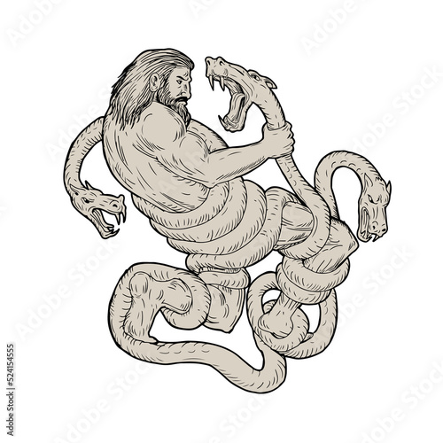 Hercules Fighting Lernaean Hydra Drawing