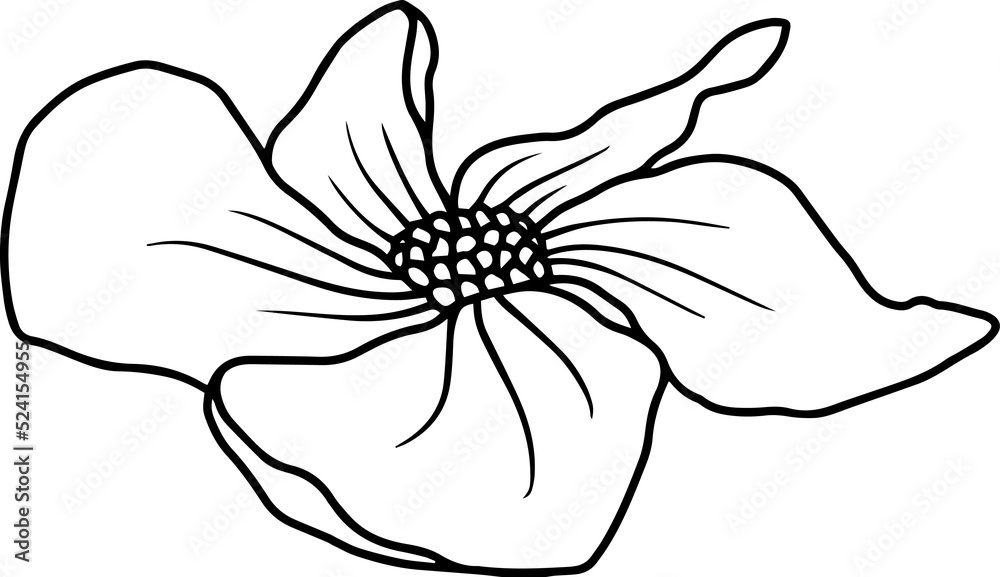 Flower Sketch Line Art Illustration
Flower Sketch Line Art Illustration