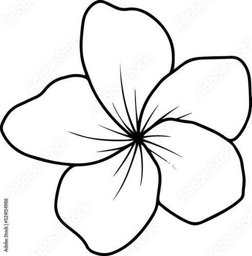 Frangipani Flower Line Art
