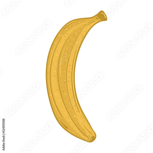 Isolated banana icon Fruits Healthy food Vector