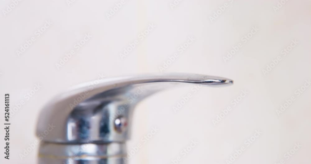 Dog paw presses plumbing chrome faucet, turns off water. Conscious water consumption, cost savings. Conservation of water resources, household ecology. Tap close-up on light background, interior. Dog paw presses plumbing chrome faucet, turns off water. Conscious water consumption, cost savings. Conservation of water resources, household ecology. Tap close-up on light background, interior.