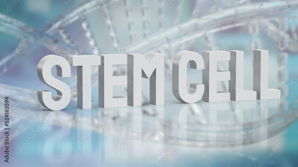 The  stem cell text on dna background for sci or medical concept 3d rendering