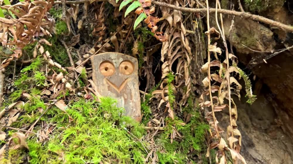 Fun wooden craft hidden in the jungle Smiling owl two eyes There is space for text Englishman river falls park Parksville Qualicum Vancouver Island Canada. High quality photo Fun wooden craft hidden in the jungle Smiling owl two eyes There is space for text Englishman river falls park Parksville Qualicum Vancouver Island Canada. High quality photo