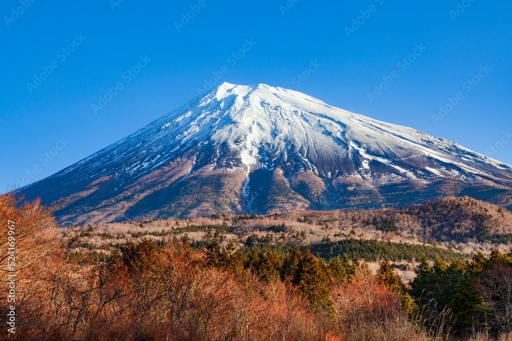 西臼塚から眺める冬の富士山　静岡県富士宮市にて