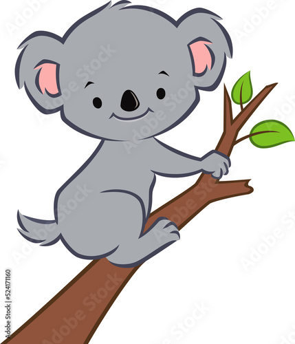 Photography Cartoon Koala