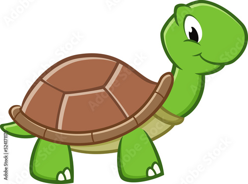 Cartoon Turtle 
