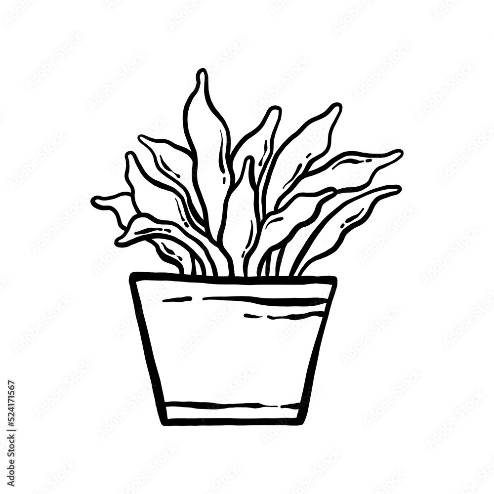 houseplant hand drawn illustration. line art of the potted home plant collection set. floral plant isolated houseplant hand drawn illustration. line art of the potted home plant collection set. floral plant isolated