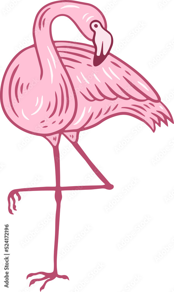 Fototapeta premium Flamingo pink Bird flamingos Aesthetic Tropical Exotic Hand drawn flat style collection