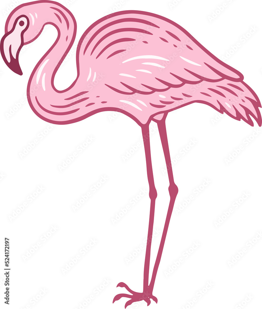 Flamingo pink Bird flamingos Aesthetic Tropical Exotic Hand drawn flat style collection