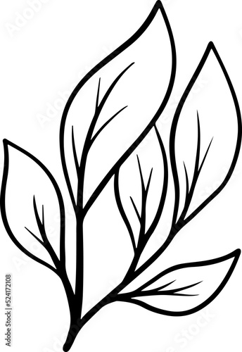 Hand Drawn Leaf Sketch Line Art  © PurMoon