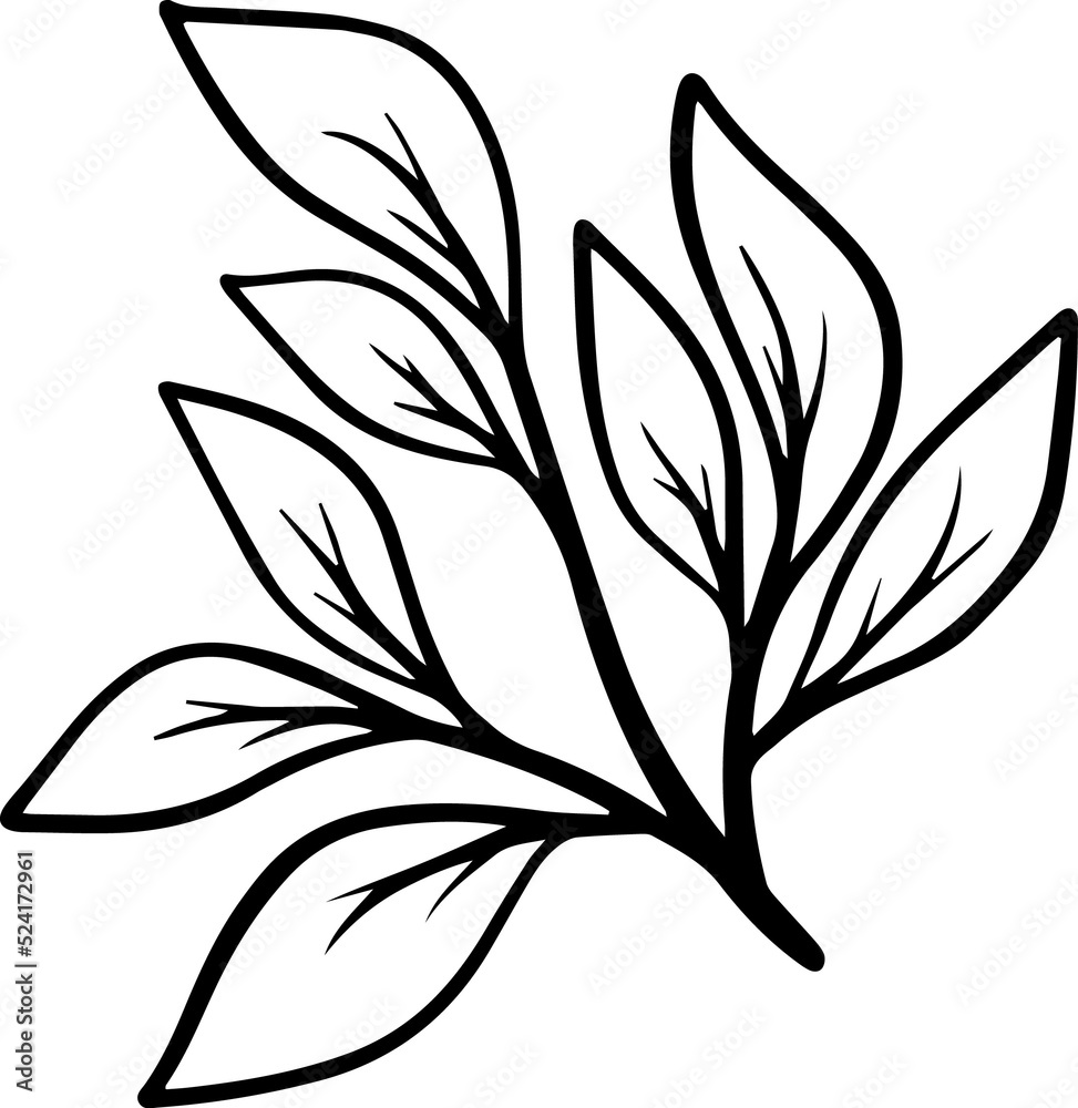 Leaf Sketch Line Art Illustration
Leaf Sketch Line Art Illustration