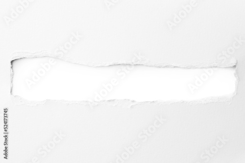 Torn paper with the curled ripped sides