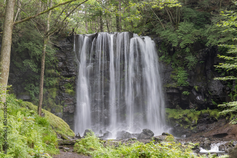 山間の渓流にある小さな滝 山間の渓流にある小さな滝