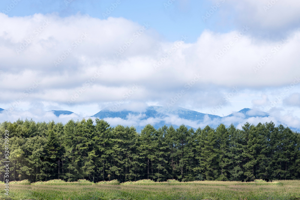 高原の風景 高原の風景