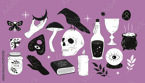 vector illustration in flat style. a set of isolated elements on the theme of halloween, magic and witchcraft. skull, magic items, books, potions