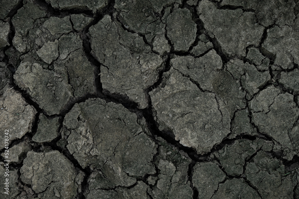 cracked and dried mud as background and texture cracked and dried mud as background and texture