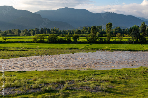 Beautiful view of rice fields in the swat valley after monsoon rain in the summer season photo