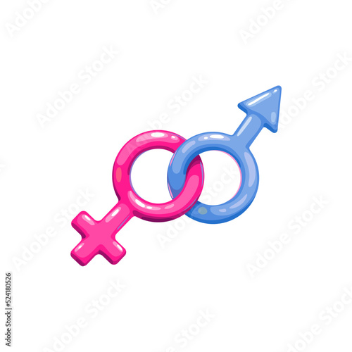 Male and female gender symbols isolated. Vector pink woman and blue man signs crossed together