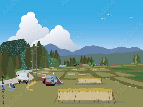 信州の稲刈り農業風景