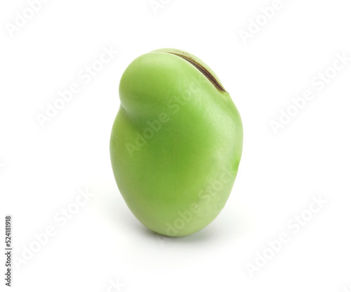 Bean standing, isolated on white. High magnification. nice shaped fresh harvested Broad bean.
