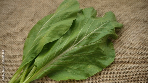 Fresh mustard greens or caisim vegetable hydroponic and fresh organic isolated brown burlap background photo