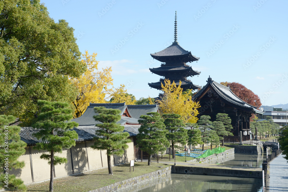秋の東寺 南大門と五重塔 京都市南区 秋の東寺 南大門と五重塔 京都市南区