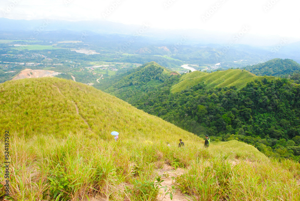 Panoramic view of green hill on a sunny summer day. Hiking adventure concept