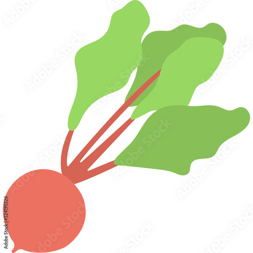 Beet Root