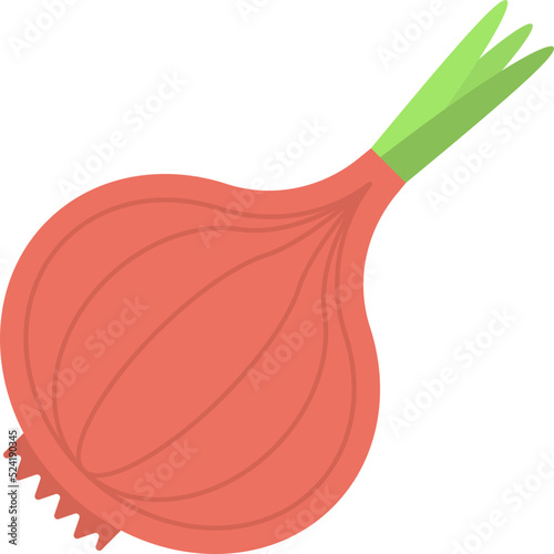 Onion