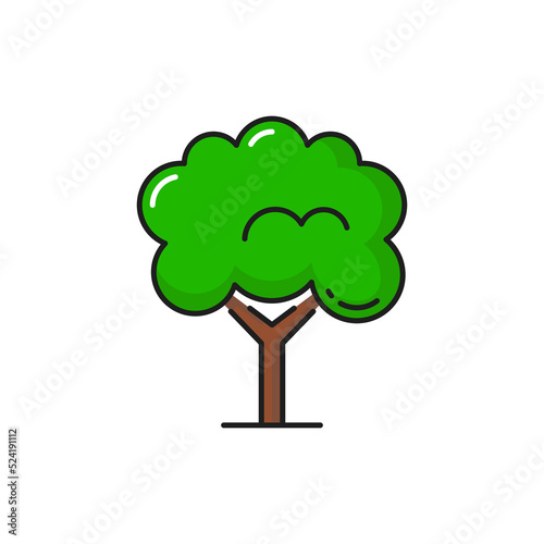Tree icon, forest park or garden and tropical green plant, vector isolated symbol. Tree with leaves of oak, elm or birch, forest bush or shrub with branches in thin line, nature woodland