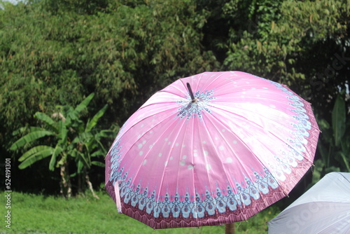 pink umbrella on a sunny day with green trees blur background