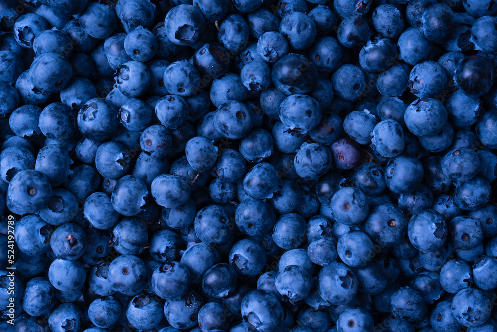 Fresh blueberry background. Texture blueberry berries close up.