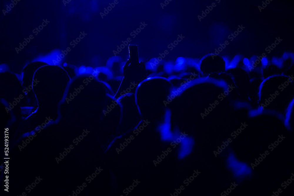 crowd at concert crowd at concert
